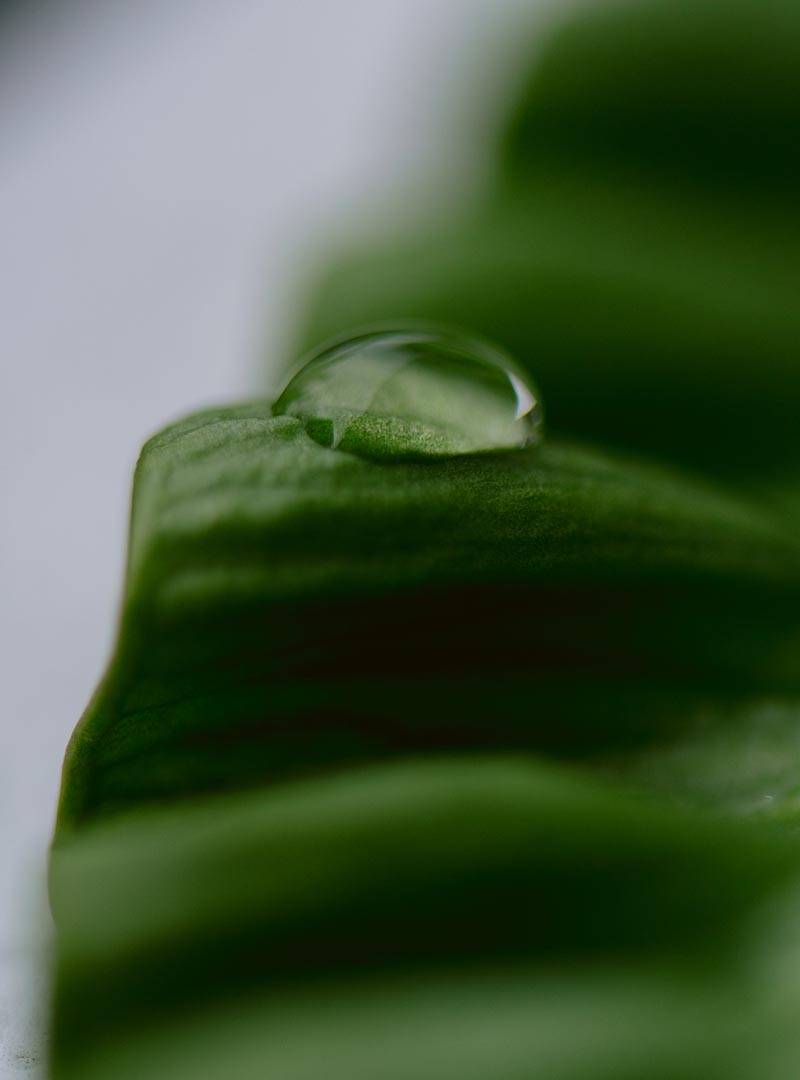 green-energy-44